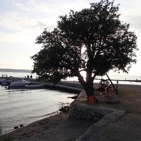 In Starigrad-paklenica 41708 Сasa de vacaciones *