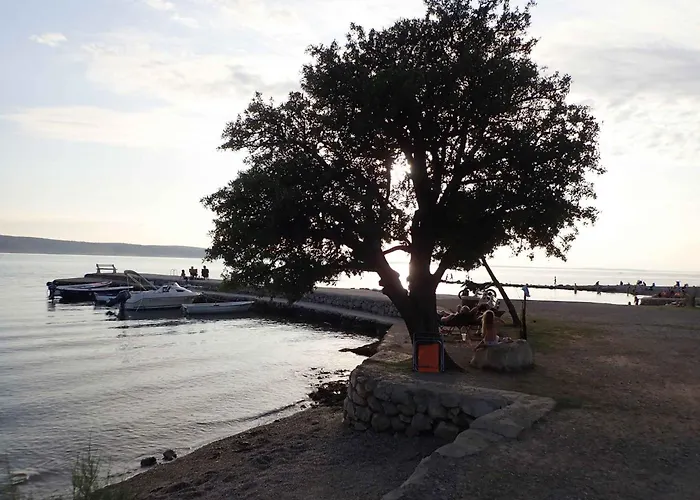 In Starigrad-paklenica 41708 Holiday home *