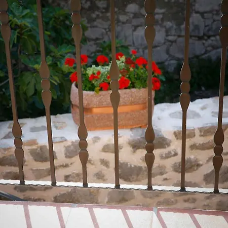 In Starigrad-paklenica 41708 斯塔利格拉德-帕克利尼卡